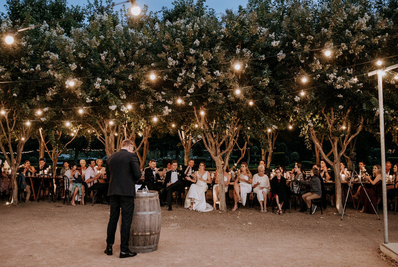 Festoon discount lights outdoor